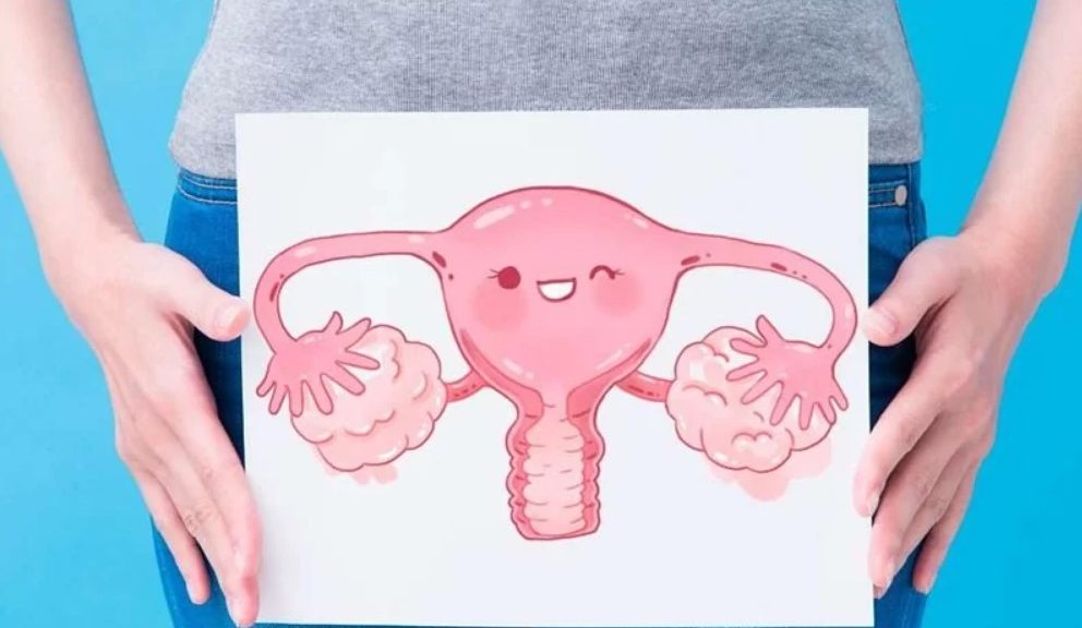 cuanto pagan por donar óvulos